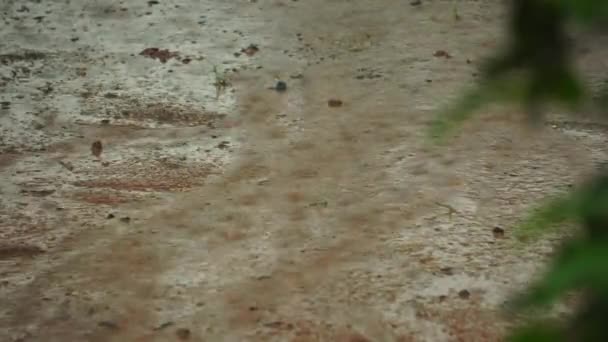 プリドル上空の激しい雨 — ストック動画