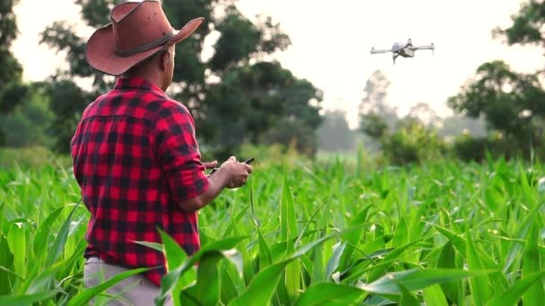 玉米苗圃数字平板控制无人机农业技术的男性农民 — 图库视频影像