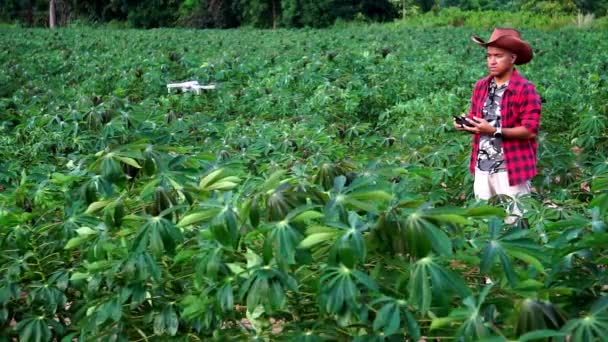 男性农民采用数字平板技术控制玉米苗圃上的无人驾驶农业技术 动作缓慢 — 图库视频影像