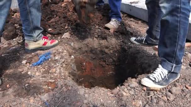 工人们在花园里用铲子挖土 — 图库视频影像
