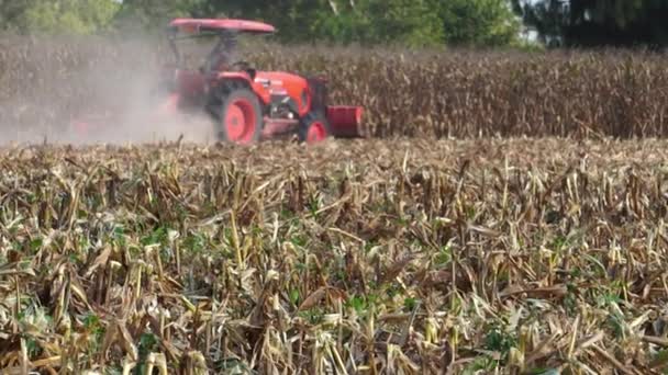 Agricultor Cultiva Terra Trator Arando Milho Campanha — Vídeo de Stock