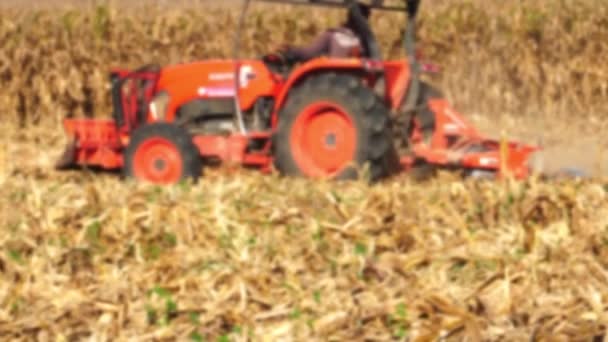 Homályos Felvétel Kukoricamezőn Dolgozó Kombájnról — Stock videók