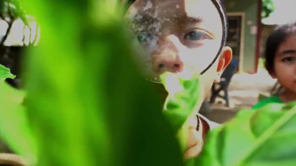 Anak Anak Menjelajahi Alam Dengan Kaca Pembesar — Stok Video