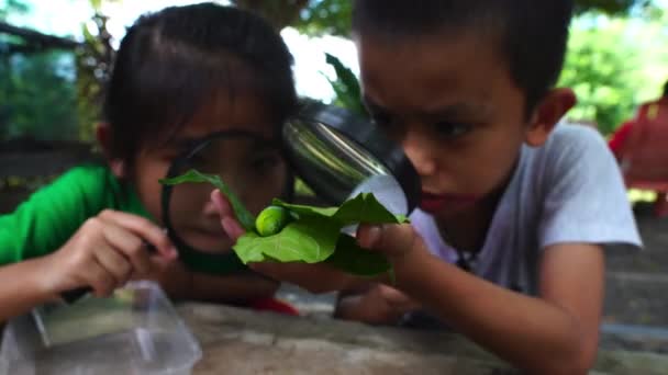 Barn Utforskar Naturen Med Förstoringsglas — Stockvideo