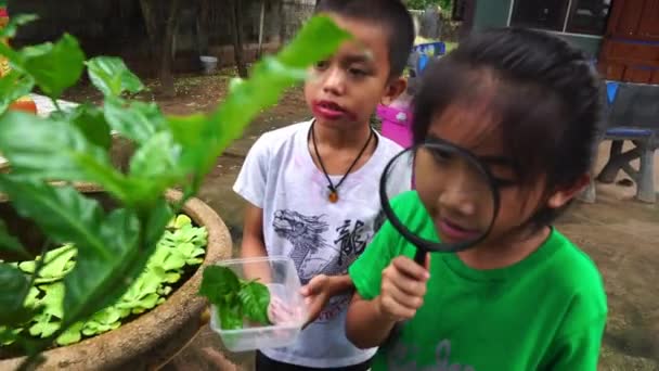 Bambini Esplorano Natura Con Lente Ingrandimento — Video Stock