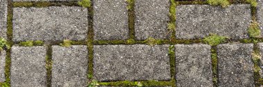 Yosun içeren gri dikdörtgen kaldırım taşları. Panoramik resim