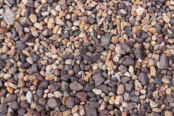 Pedras Coloridas Seixos Praia Como Fundo Textura — Fotografia de Stock