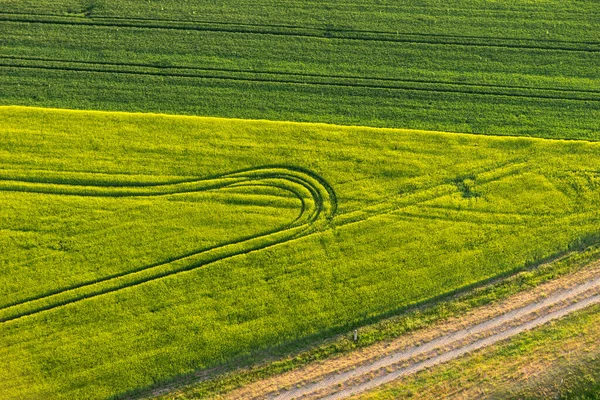 Vihreät Kentät Traktorin Raiteilla Keväällä Ylhäältä — kuvapankkivalokuva