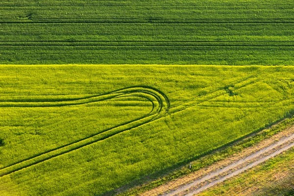 Grüne Felder Mit Traktorspuren Frühling Von Oben — Stockfoto