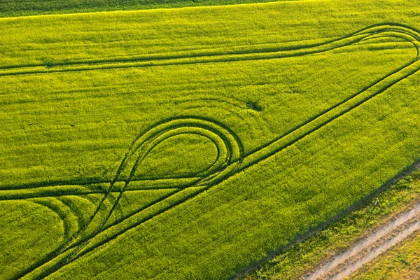 Grüne Felder Mit Traktorspuren Frühling Von Oben — Stockfoto