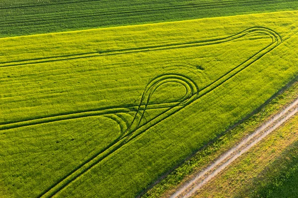 Campos Verdes Com Trilhas Trator Primavera Cima — Fotografia de Stock