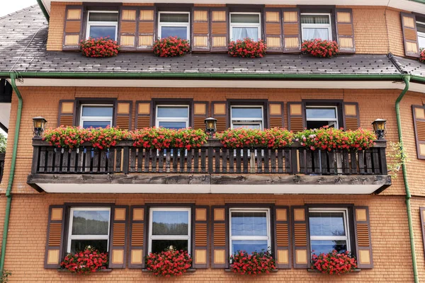 Balcony Decorated Beautiful Blooming Potted Plants Sunny Day — Stok fotoğraf
