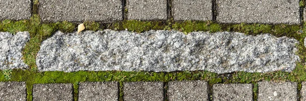 Gray Paving Stones Moss Panoramic Image — Stock Photo, Image