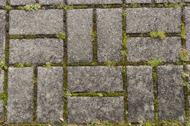 Yosun ile dikdörtgen kaldırım taşı