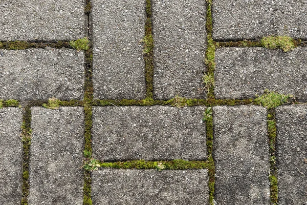 Pietre Pavimentazione Rettangolari Con Muschio — Foto Stock