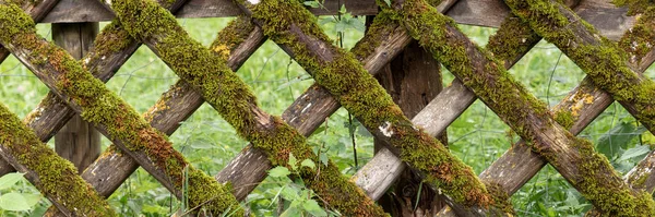 苔で覆われた木製の庭のフェンス パノラマ画像 — ストック写真