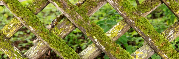 Wooden Garden Fence Covered Moss Panoramic Image — Stock Photo, Image