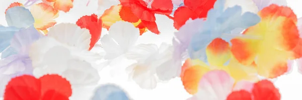 Kolorowe Tło Panoramiczne Kolorowe Plastikowe Hawaje Kwiaty — Zdjęcie stockowe