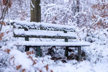 Kış ormanındaki bankta karla kaplı.