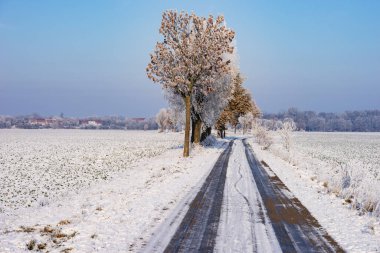 Kış mevsiminde ağaçlarla kaplı buzlu bir yol.