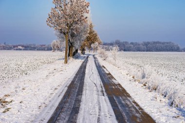 Kış mevsiminde ağaçlarla kaplı buzlu bir yol.
