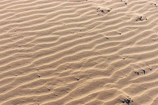 Fundo Arenoso Ondulado Praia Textura Areia — Fotografia de Stock