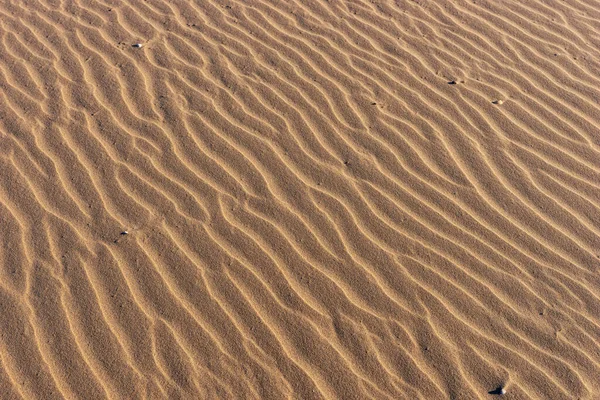 Dalgalı Kumlu Arka Plan Kumsal Kum Dokusu — Stok fotoğraf
