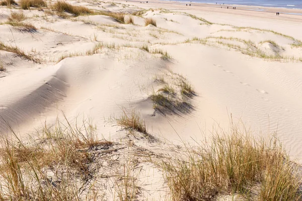 Dune Sabbia Primavera Noordwijk Paesi Bassi — Foto Stock