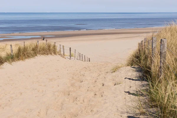 Ingresso Alla Spiaggia Attraverso Dune Sabbia Noordwijk Paesi Bassi — Foto Stock