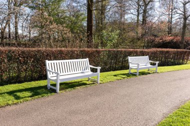 Kamu parkında boş beyaz park bankları