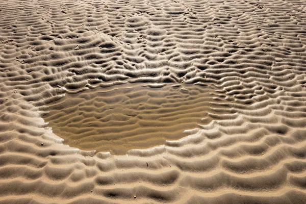Fundo Arenoso Molhado Praia Textura Areia — Fotografia de Stock