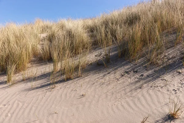 Dune Sabbia Sulla Costa Del Mare Del Nord — Foto Stock