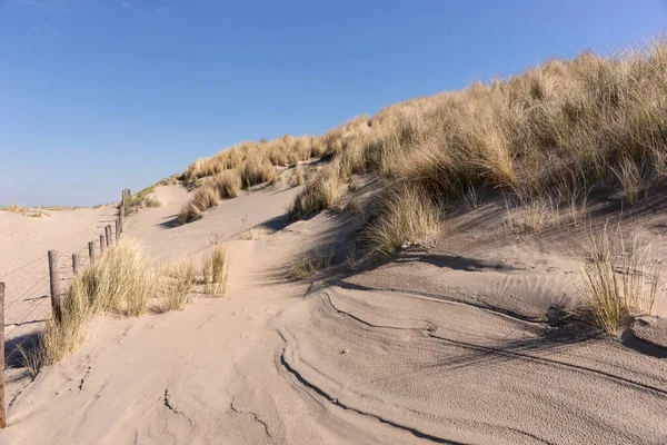 Zandduinen Aan Noordzeekust — Stockfoto