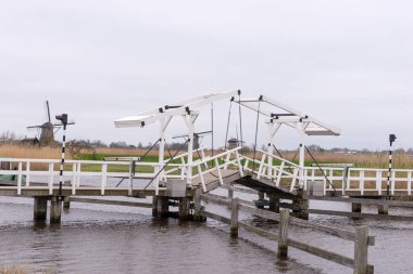 Kinderdijk 'te bir kanalın karşısındaki tahta köprü. Hollanda