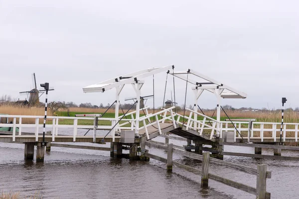 Kinderdijk 'te bir kanalın karşısındaki tahta köprü. Hollanda