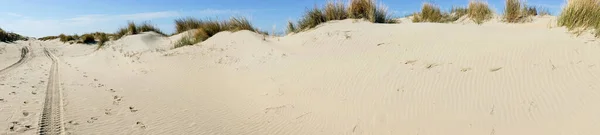 Panoramabild Der Dünen Der Nordseeküste — Stockfoto