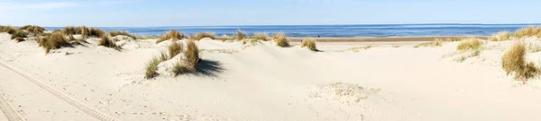 Imagem Panorâmica Das Dunas Areia Costa Mar Norte — Fotografia de Stock