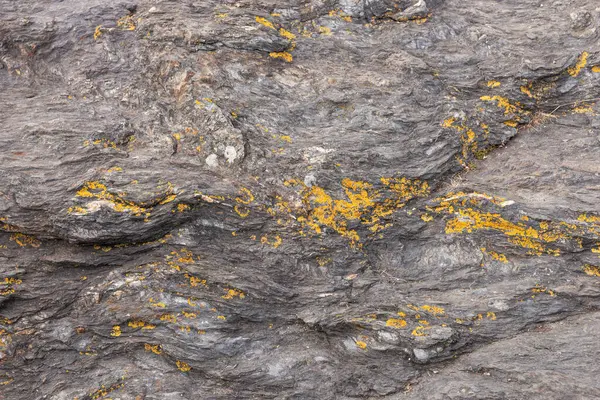 Chiudi Rocce Con Licheni — Foto Stock