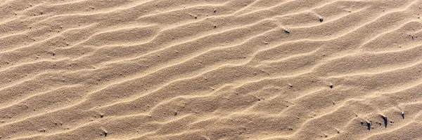 Panoramik Görüntü Dalgalı Kumlu Arka Plan Kumsal Kum Dokusu — Stok fotoğraf