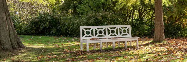 Empty white park bench in the autumn park. Panoramic image