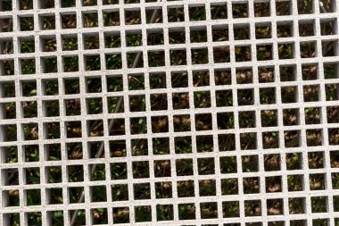 Beton şebeke arka planının ayrıntıları. Dengesiz arazide kedi yürüyüşü