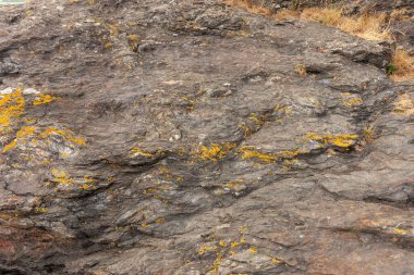 Limonlu yakın çekim kayası. Doğal arkaplan