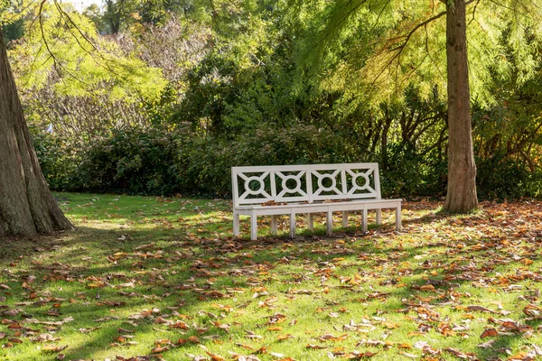 Empty white park bench in the autumn park