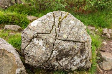 Çimenlerde büyük bir kaya var.