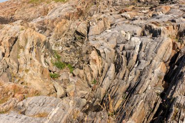 Kaya dokusu. Yakın doğa kaya arka planı