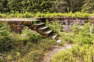 Ormandaki merdivenler hiçbir yere çıkmıyor. Kayıp Yer