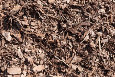 Doğal ağaç kabuğu gübresi, kahverengi odun parçaları.