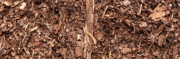 Panoramik görüntü. Doğal ağaç kabuğu gübresi, kahverengi odun parçaları.