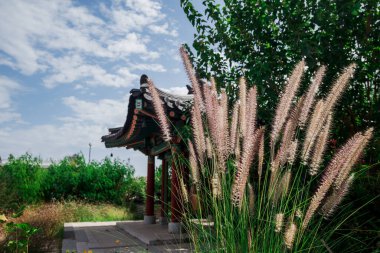 Pampalar mavi gökyüzüne karşı, yeşil yapraklar ve sarı flo