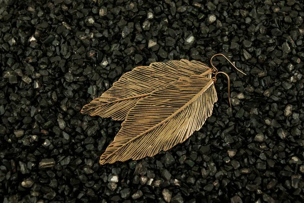 背景に孤立した羽のイヤリング女性のペア — ストック写真